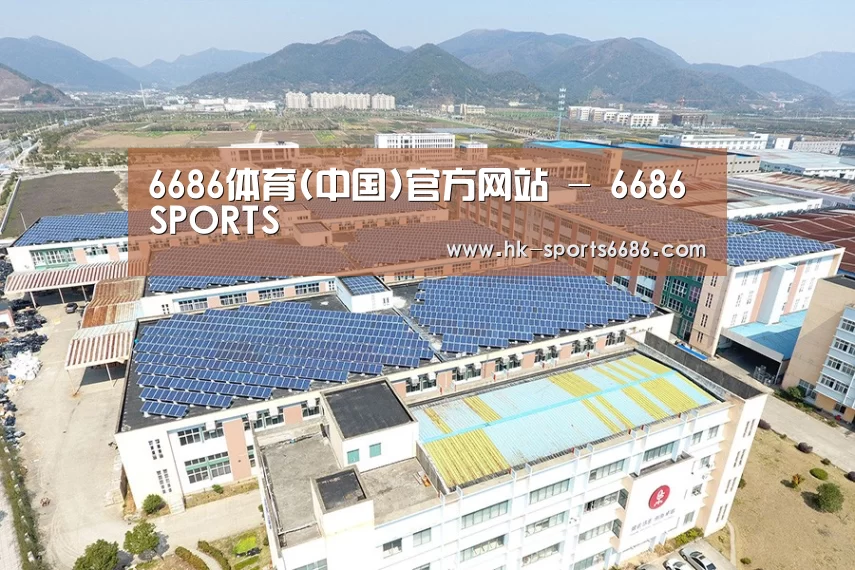 案例展示四