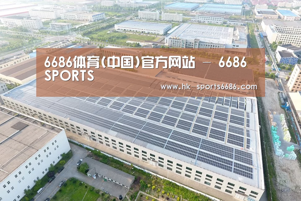 案例展示二