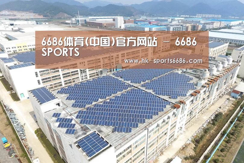 案例展示四